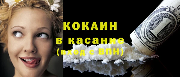 гашик Дмитров