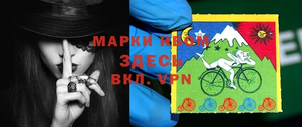 гашик Дмитров
