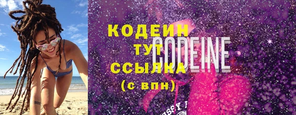 гашик Дмитров