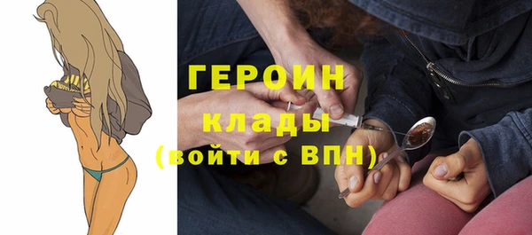 гашик Дмитров