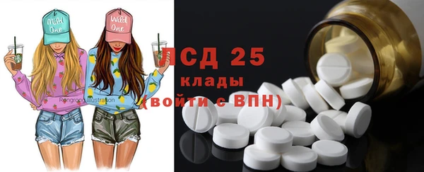 гашик Дмитров