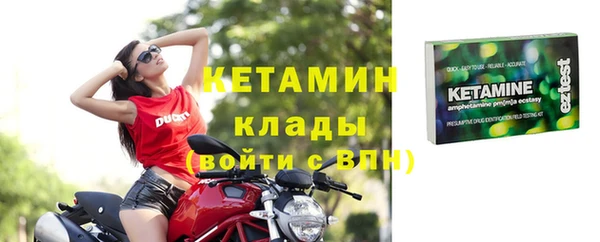 гашик Дмитров
