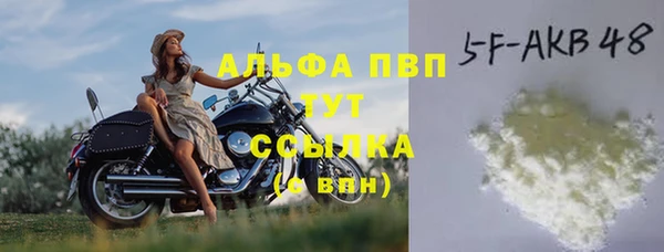 гашик Дмитров