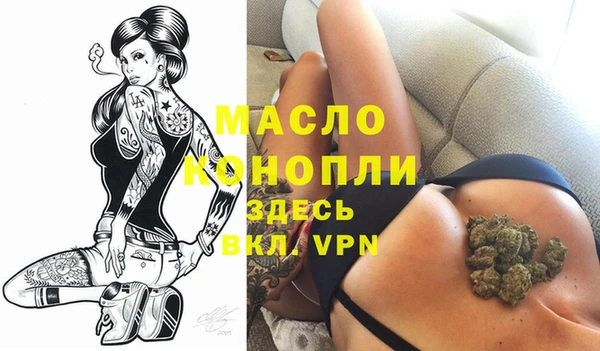 гашик Дмитров
