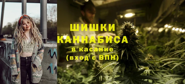 прущая мука Дмитриев