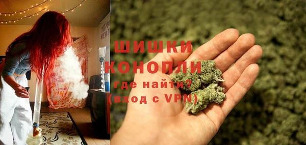 прущая мука Дмитриев