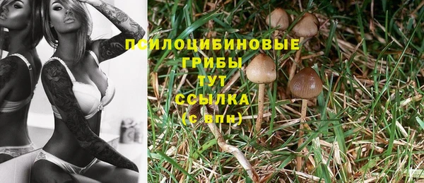 не бодяженный Елизово