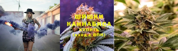 прущая мука Дмитриев